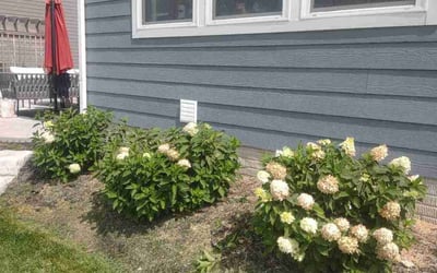 Photo of Michael M.'s yard after getting landscaping in Alexandria, OH