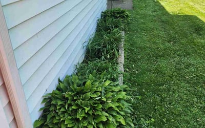 Photo of Tod P.'s yard after getting landscaping in Elmhurst, IL