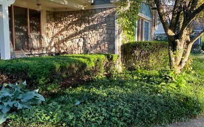 Photo of William R.'s yard after getting landscaping in Nashville, IN