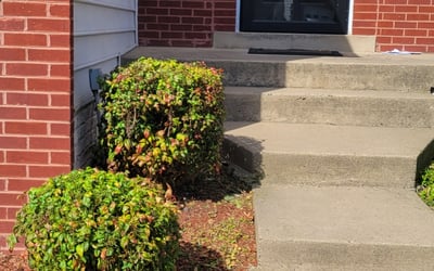 Photo of Edwin M.'s yard after getting landscaping in The Plains, VA