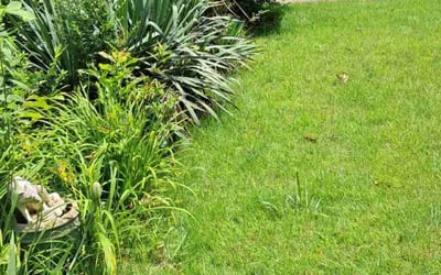 Photo of Vicki G.'s yard after getting landscaping in Millington, TN