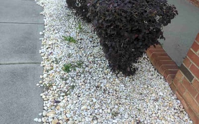 Photo of James H.'s yard after getting landscaping in Indian Trail, NC