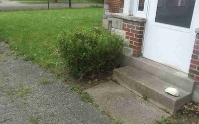 Photo of Rhonda M.'s yard after getting landscaping in Dayton, OH