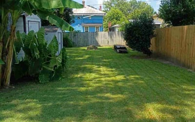 Photo of Laura S.'s yard after getting landscaping in Augusta, GA