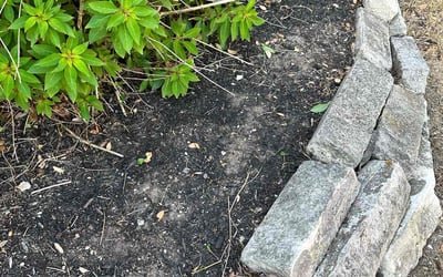 Photo of Karen L.'s yard after getting landscaping in Utopia, TX