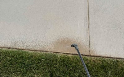 Photo of Moe W.'s yard after getting tree care in Mckinney, TX