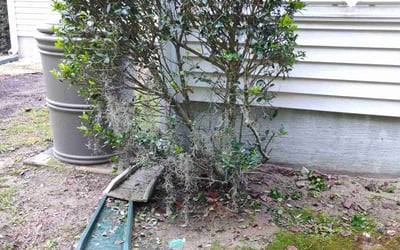 Photo of Robert H.'s yard after getting landscaping in Charleston, SC