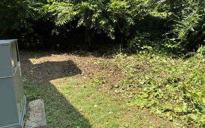 Photo of Lauren M.'s yard after getting landscaping in Wake Forest, NC