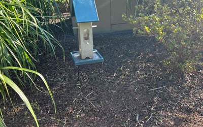 Photo of Lauren R.'s yard after getting landscaping in Fredericksburg, VA