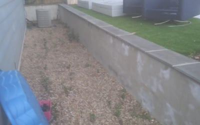 Photo of John C.'s yard after getting landscaping in Fort Lawn, SC