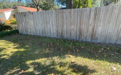 Photo of Amanda B.'s yard after getting landscaping in Durant, FL
