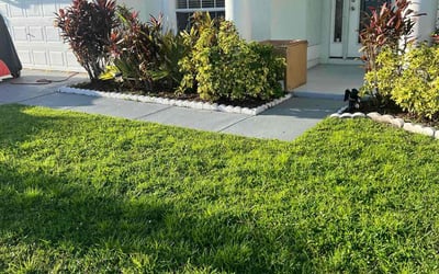 Photo of Sean B.'s yard after getting landscaping in Palmetto, FL