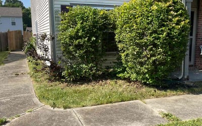 Photo of Marcus A.'s yard after getting landscaping in Pittsboro, IN