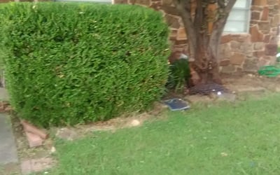 Photo of Judy S.'s yard after getting landscaping in Bristow, OK