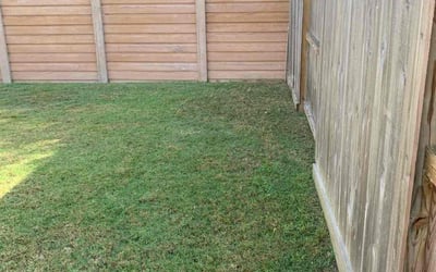 Photo of Lilian C.'s yard after getting landscaping in Porter, TX