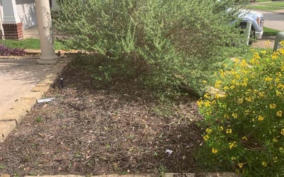 Photo of May P.'s yard after getting landscaping in Seabrook, TX
