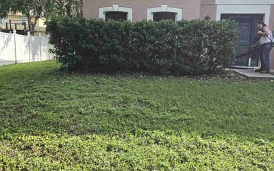 Photo of Ryan M.'s yard after getting landscaping in Groveland, FL