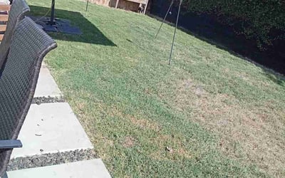 Photo of Patricia B.'s yard after getting lawn care in Escondido, CA