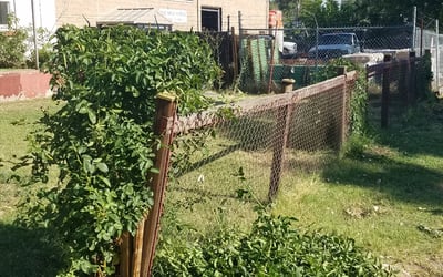 Photo of Theresa Michelle H.'s yard after getting landscaping in Louviers, CO