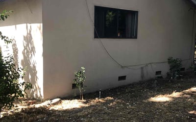 Photo of Ryan A.'s yard after getting landscaping in Diamond Springs, CA