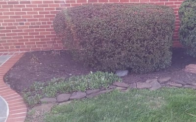 Photo of Samantha S.'s yard after getting landscaping in Bel Alton, MD