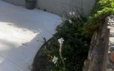 Photo of Brent B.'s yard after getting landscaping in Hamersville, OH