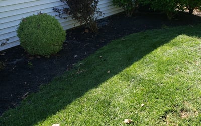 Photo of Maureen K.'s yard after getting lawn care in North Wales, PA