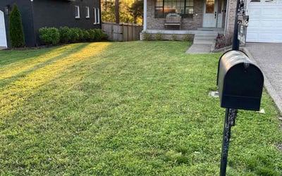 Photo of Patrick B.'s yard after getting landscaping in Westmoreland, TN