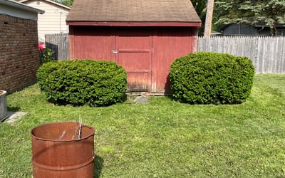 Photo of Michael W.'s yard after getting landscaping in Martinsville, IN