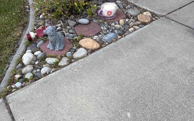 Photo of Brandon B.'s yard after getting landscaping in Orinda, CA