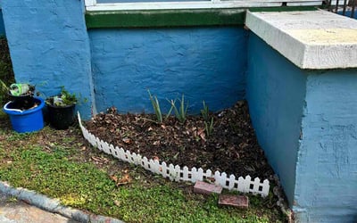 Photo of Dietrice K.'s yard after getting landscaping in Good Hope, GA