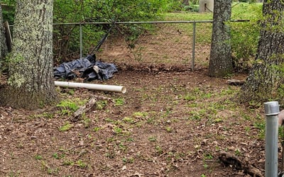 Photo of Elizabeth G.'s yard after getting tree care in Lincolnton, NC