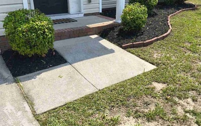 Photo of Michael S.'s yard after getting landscaping in Columbia, SC