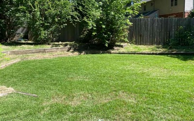 Photo of Jason J.'s yard after getting landscaping in Germantown, TN