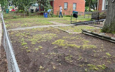 Photo of Sheila, J.'s yard after getting tree care in Midlothian, VA