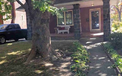 Photo of Rachel G.'s yard after getting landscaping in Hockessin, DE
