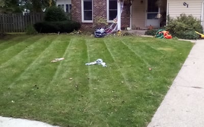 Photo of Maggie M.'s yard after getting landscaping in Jenison, MI