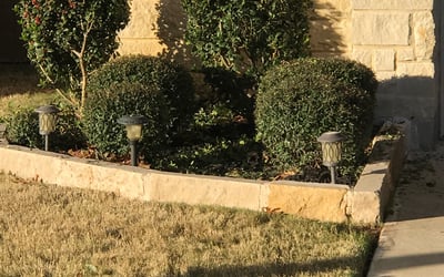 Photo of Regina S.'s yard after getting landscaping in Weir, TX