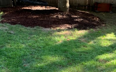 Photo of Matt J.'s yard after getting landscaping in Wausau, WI