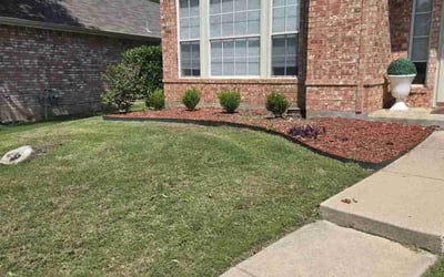 Photo of Sylvia B.'s yard after getting landscaping in Lewisville, TX
