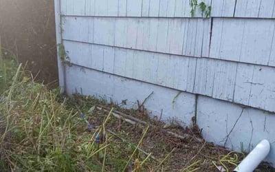 Photo of Chris S.'s yard after getting landscaping in Portland, OR