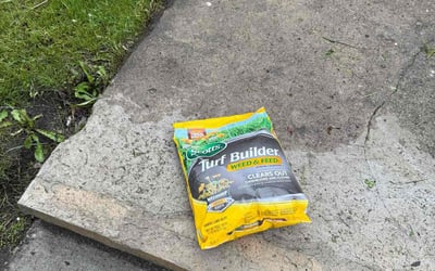 Photo of Jamar H.'s yard after getting landscaping in Detroit, MI