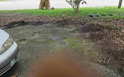 Photo of Christopher S.'s yard after getting landscaping in Gainesville, FL