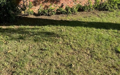 Photo of Craig R.'s yard after getting landscaping in Holly Springs, MS