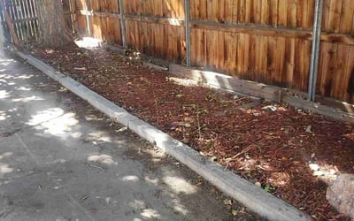 Photo of Michael W.'s yard after getting landscaping in Cascade, CO