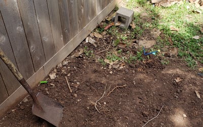Photo of Chris C.'s yard after getting landscaping in Alief, TX