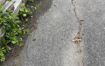 Photo of Mary M.'s yard after getting landscaping in Worcester, MA