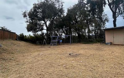 Photo of Sean C.'s yard after getting tree care in Chula Vista, CA