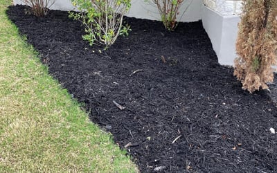Photo of Stephanie D.'s yard after getting landscaping in Jourdanton, TX