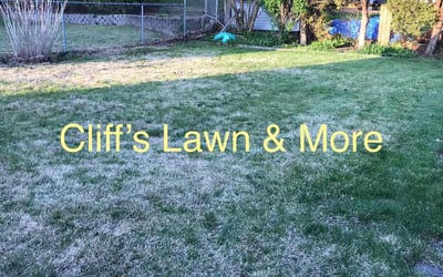 Photo of Lupe S.'s yard after getting lawn care in Swanton, OH